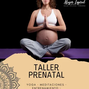 Taller Pre-Natal